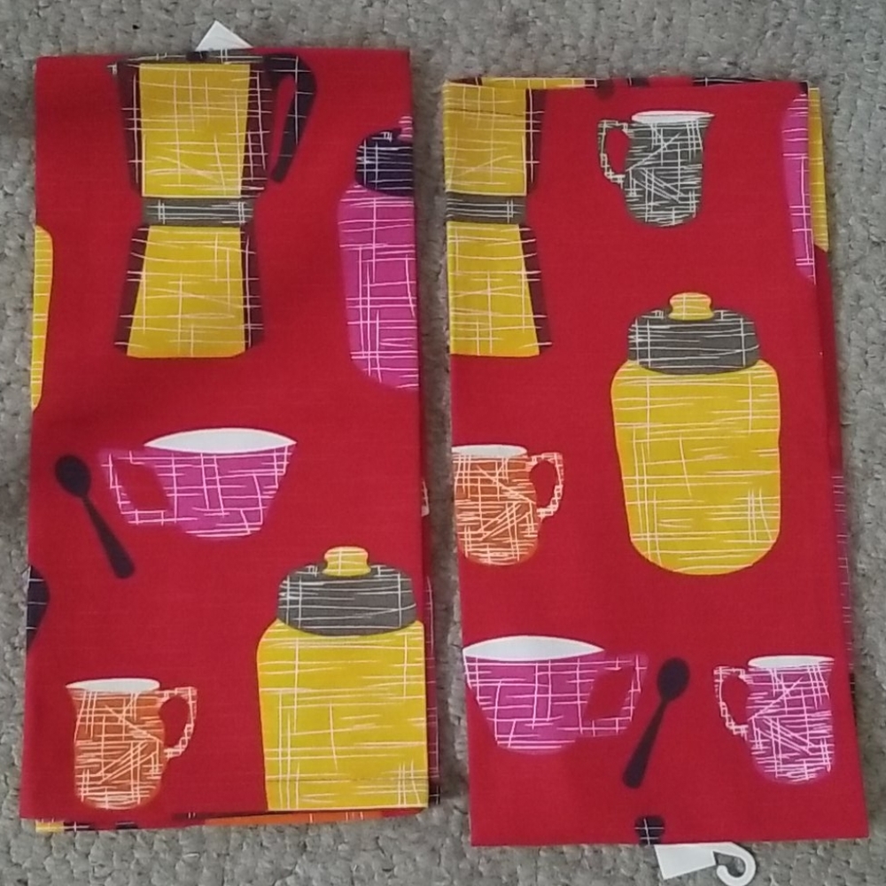 Pair Cost Plus World Market Kitchen Towels